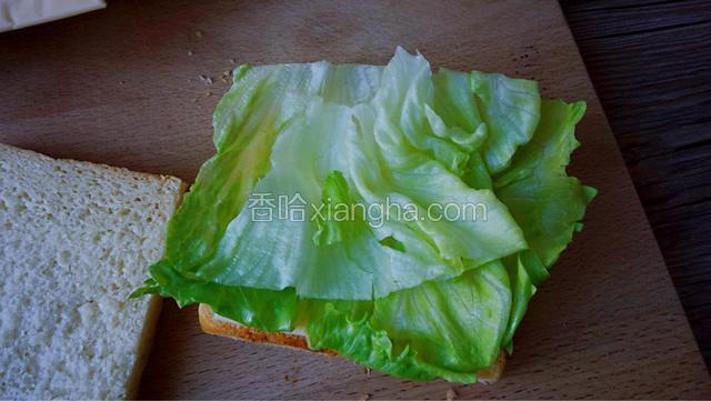 再放生菜