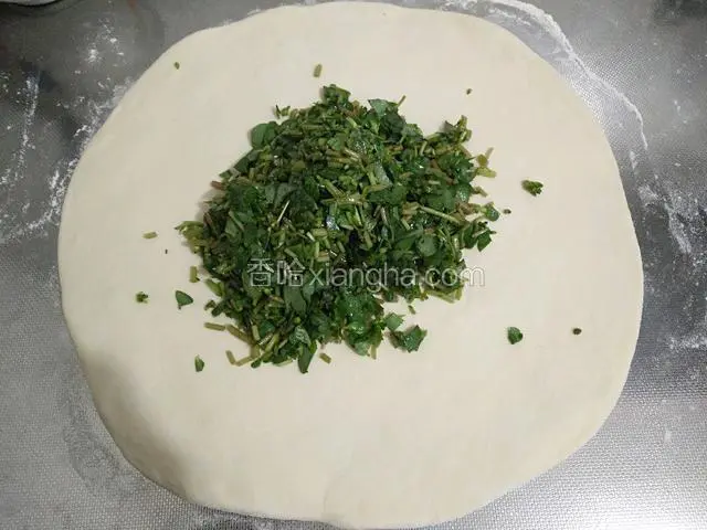 擀成面皮，把马齿苋倒在面皮上摊平。