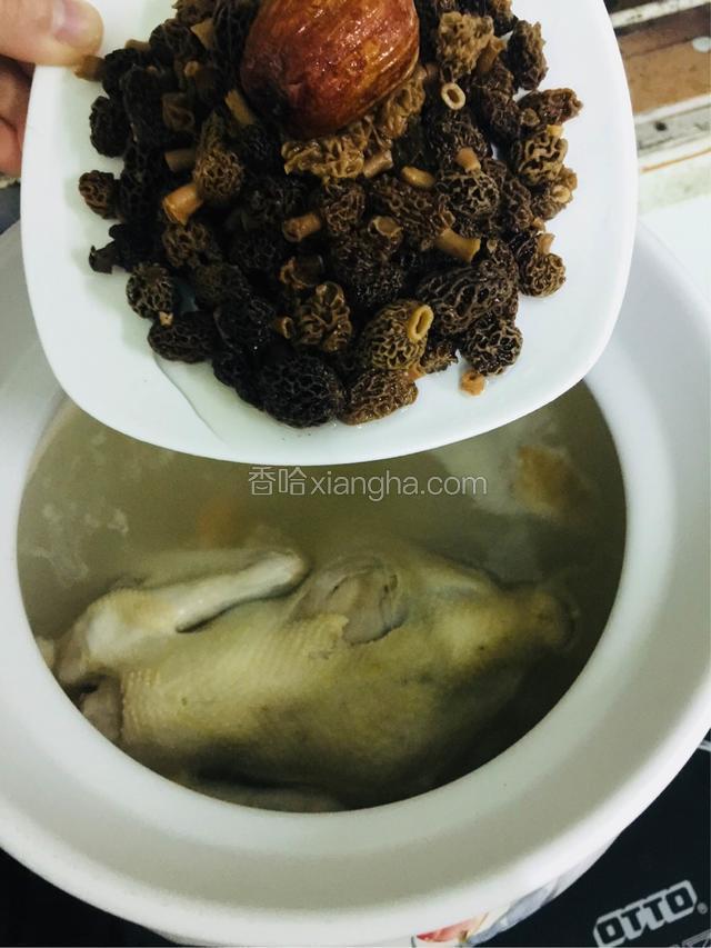 再倒入羊肚菌和蜜枣，煲一个小时