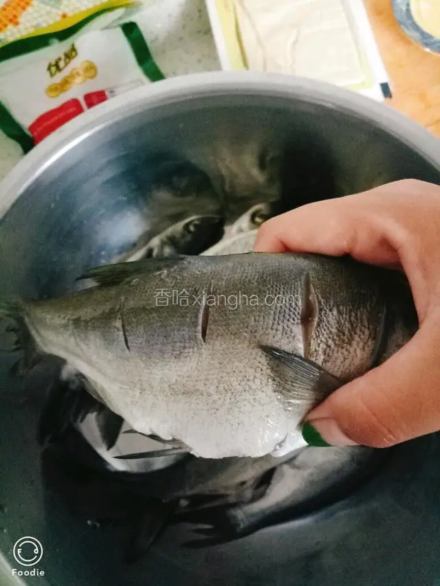 我用的是小鲢鱼，所以炖了好几条，改刀，撒盐，料酒，腌制20分钟