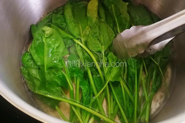 做锅烧水，水开加入一点盐跟几滴油，放入洗干净的菠菜，焯水三十秒即刻捞出用冷水冲一下。