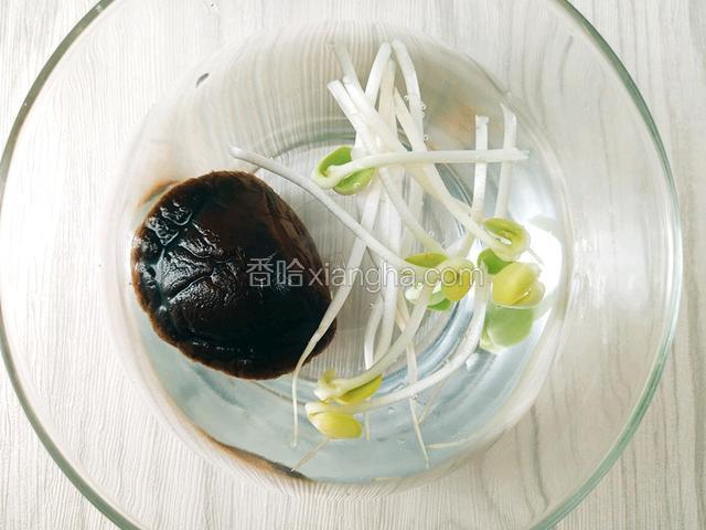 豆芽洗净、冬菇泡发