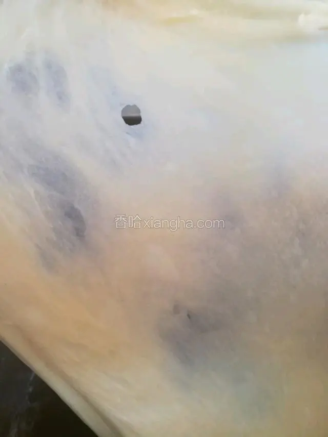 加入黄油，启动和面程序半个小时。拿手抻开可以出膜的那种。