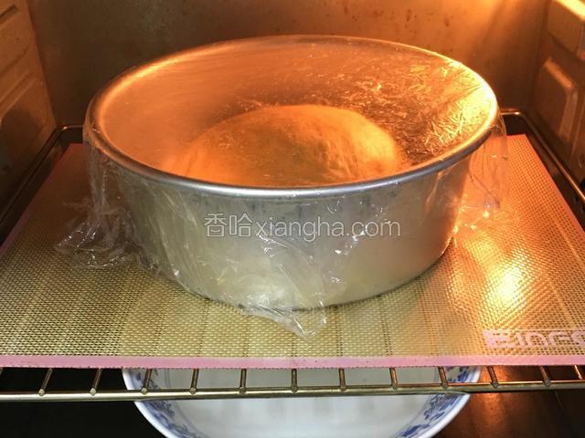 滚圆放入模具，盖上保鲜膜。烤箱发酵档，底部放热水发酵60分钟。