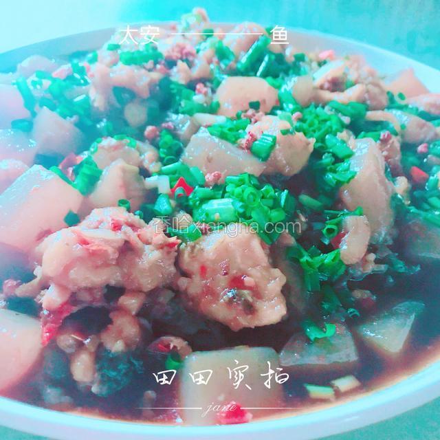 正宗太安鱼