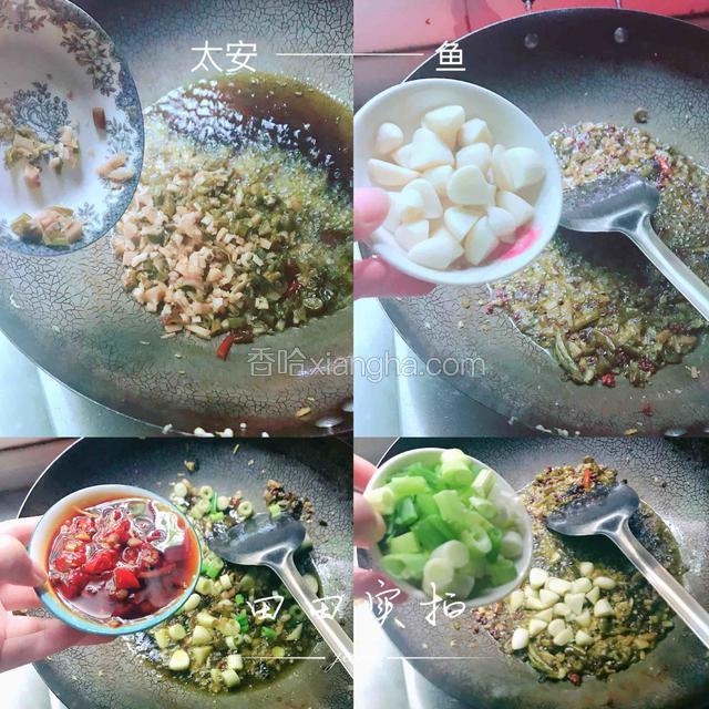 现在把锅里多余的油倒出来，锅里剩适量的油开始炒佐料，等油温上来取花椒一小把、泡姜泡海椒、蒜翻炒一下，然后放入豆瓣酱炒，再加入葱段继续翻炒，大约炒五分钟左右，满屋飘香就可以了。