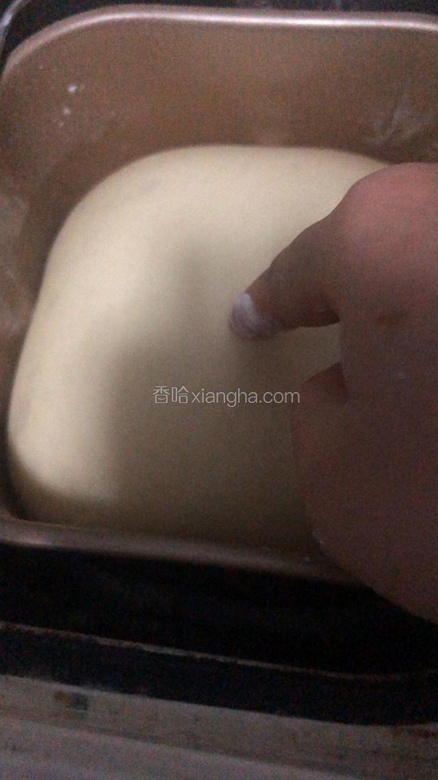 发至二倍大，用手指插入面团，不塌就是发酵完成了。