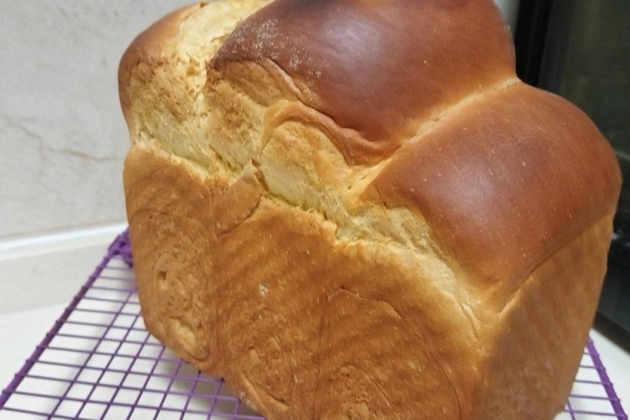 北海道巨蛋吐司（百分百中种)