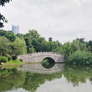 [图1]