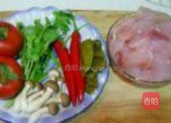 茄汁酸汤鱼的做法图解1