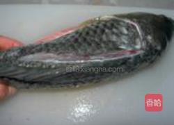酸菜鱼的做法图解4