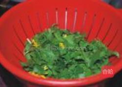 凉拌蒲公英的做法图解3