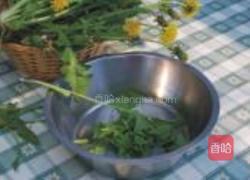 凉拌蒲公英的做法图解1