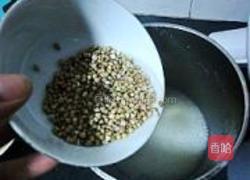 荞麦豆浆的做法图解8