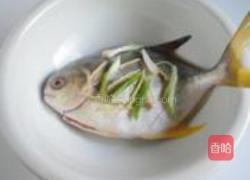 清蒸鲳鱼的做法图解3