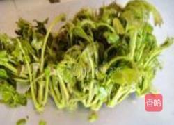 啤酒炸香椿鱼的做法图解1