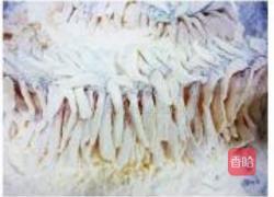 珊瑚鱼的做法图解6
