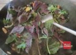 香辣田螺的做法图解10