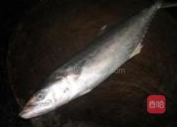 红焖马鲛鱼的做法图解1