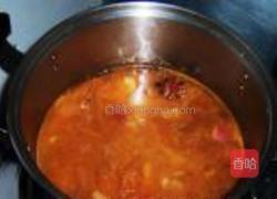 番茄胡萝卜炖牛腩的做法图解10