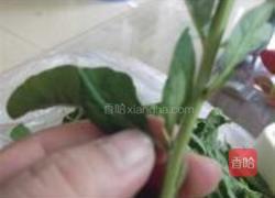 枸杞叶滚咸蛋汤的做法图解2