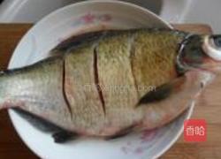 豉香辣酱蒸鳊鱼的做法图解2
