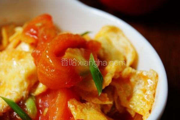 番茄炒蛋