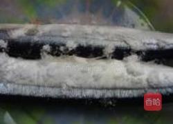 干煎秋刀鱼的做法图解3