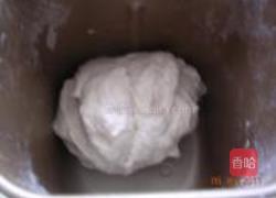 鲜肉西葫芦水饺的做法图解2