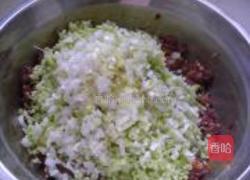 鲜肉西葫芦水饺的做法图解4