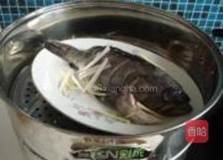 油淋黑头鱼的做法图解4