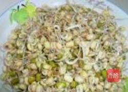 素炒豆芽的做法图解1