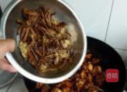 茶树菇炒仔鸡的做法图解13