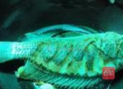 罗非鱼豆腐煲的做法图解4