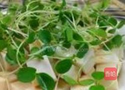 香椿苗拌豆腐的做法图解4