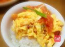 西红柿鸡蛋盖浇饭的做法图解10