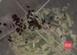 辣拌黃瓜豆皮的做法图解9