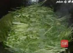 蒜香豆苗的做法图解5