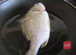 煎海鱼焖豆腐的做法图解1