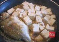 煎海鱼焖豆腐的做法图解5