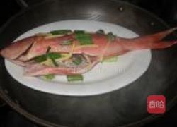 清蒸红鲷鱼的做法图解4