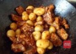 小土豆烧排骨的做法图解11