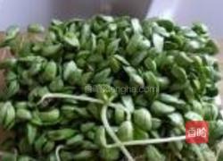 蒜香黑豆苗的做法图解1
