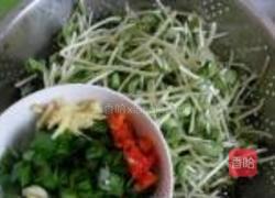 蒜香黑豆苗的做法图解2