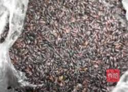 窝窝头的做法图解2