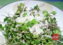 爽口清香萝卜苗的做法图解3