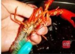 麻辣小龙虾的做法图解7
