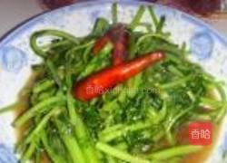 蒜蓉茼蒿的做法图解5