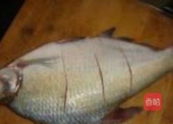 豆瓣鱼的做法图解1