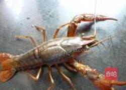 油焖小龙虾的做法图解1